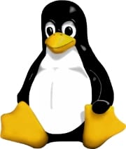 http://www.oficinadanet.com.br//imagens/coluna/1192/tux-linux.jpg