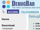 Debugbar: extens�o do Internet Explorer para programadores