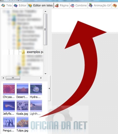 http://www.oficinadanet.com.br//imagens/coluna/2762//1.jpg