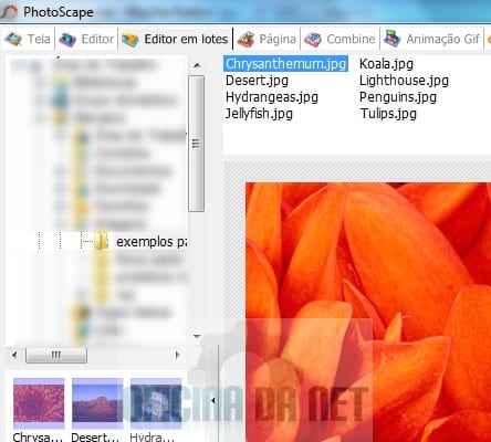 http://www.oficinadanet.com.br//imagens/coluna/2762//2.jpg
