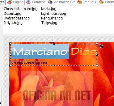 http://www.oficinadanet.com.br//imagens/coluna/2762//4.jpg