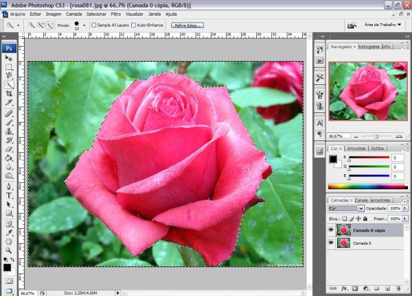 Destacando objetos em fotos no Photoshop Destacando objetos em fotos no Photoshop