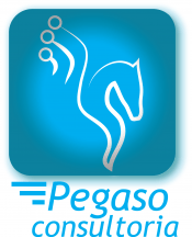Pégaso Consultoria Pégaso Consultoria
