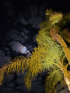 Foto noturna Foto noturna