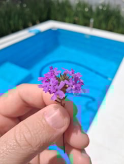 Galaxy A17 - câmera principal Galaxy A17 - câmera principal