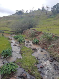 Câmera traseira do Motorola One Action - paisagem sem sol