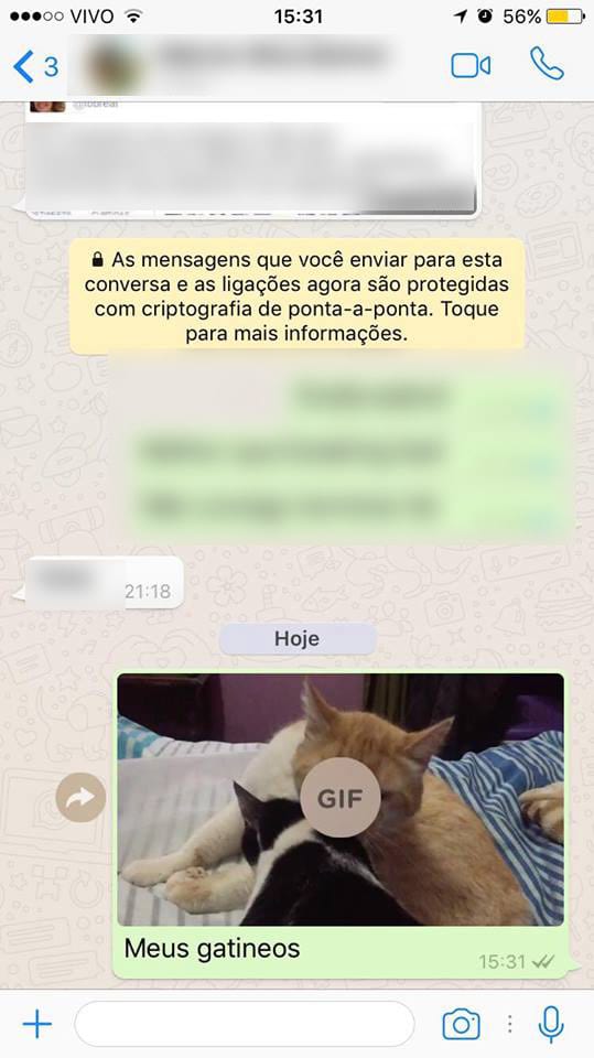 Veja como converter vídeos curtos para GIFs no WhatsApp - Reclame