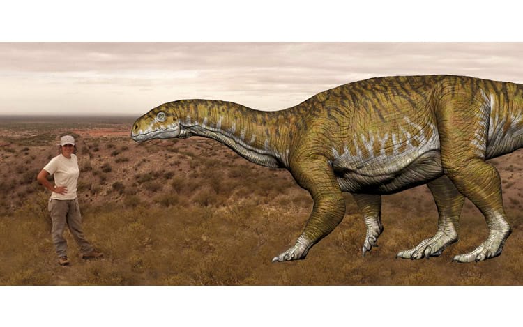 Dinossauro gigante descoberto há 15 anos finalmente ganha nome:  Australotitan - Canaltech