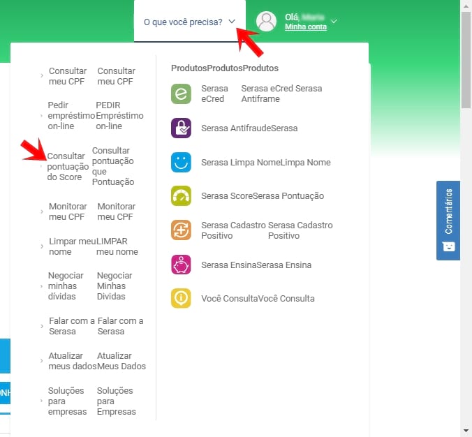 Como acompanhar a evoluÃ§Ã£o do Serasa Score pelo site e App?