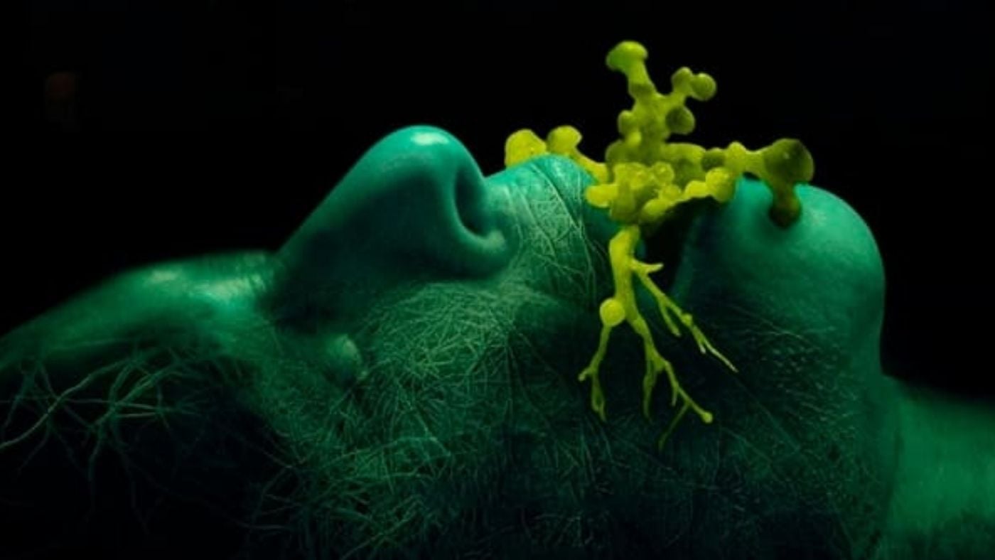 3 novos filmes de terror na Netflix que você ainda não assistiu