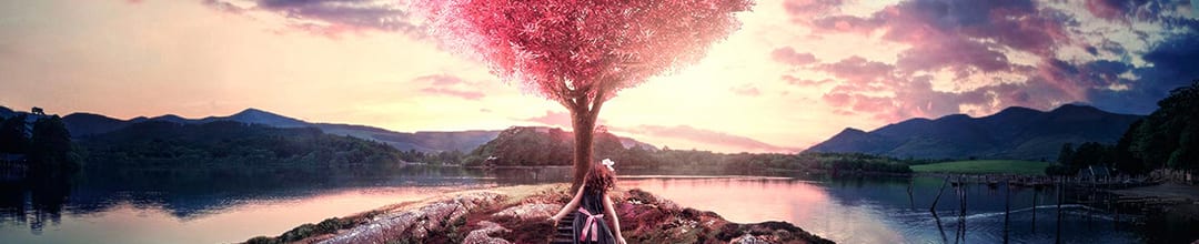 Photoshop Photoshop