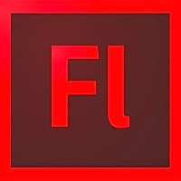Flash Flash