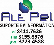 ALE PEL SUPORTE DE INFORMÁTICA