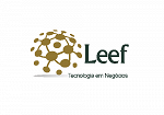 Leef Tecnologia da Informação 