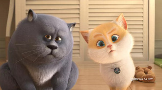 Cats e Gatolândia (2018) Cats e Gatolândia (2018)