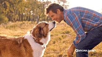 Quatro Vidas de um Cachorro (2017)