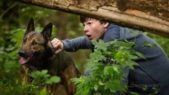 Max: O Cão Herói (2015)