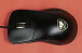 Cougar Surpassion Cougar Surpassion