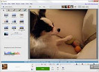 Álbuns do Picasa Web são transferidos para o Google+ Álbuns do Picasa Web são transferidos para o Google+
