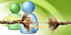 Com fim do MSN, golpes na internet aumentam Com fim do MSN, golpes na internet aumentam