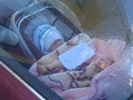 Foto de bebê trancado em carro na N. Zelândia circula pelas redes sociais Foto de bebê trancado em carro na N. Zelândia circula pelas redes sociais