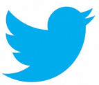 Publicidade poderá render US$ 1 bi ao Twitter em 2014
