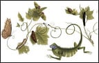 Naturalista alemã é a homenageada da vez pelo Google Naturalista alemã é a homenageada da vez pelo Google