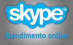 Atendimento online no seu site via Skype