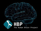 Cientistas da Europa irão tentar recriar cérebro humano através de super-computadores