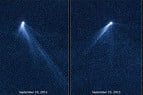 Asteroide com seis caudas intriga pesquisadores Asteroide com seis caudas intriga pesquisadores
