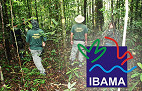 Processo Seletivo do IBAMA tem 20 vagas para TI; inscrições encerram hoje Processo Seletivo do IBAMA tem 20 vagas para TI; inscrições encerram hoje