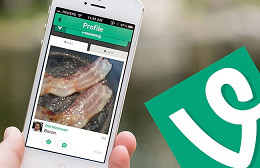 Dicas de como entender melhor o Vine Dicas de como entender melhor o Vine