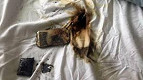 Samsung Galaxy S4 incendeia debaixo de travesseiro Samsung Galaxy S4 incendeia debaixo de travesseiro