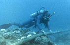 Cabo submarino deve acelerar a velocidade Internet
