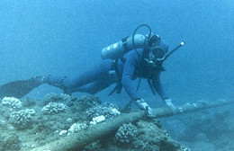 Cabo submarino deve acelerar a velocidade Internet