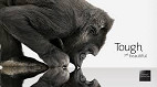 Como funciona o Gorilla Glass?