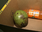Surpresa: Ao comprar iPhone, idoso recebe coco e refrigerante Surpresa: Ao comprar iPhone, idoso recebe coco e refrigerante