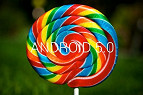 Google libera o download do Android Lollipop Google libera o download do Android Lollipop