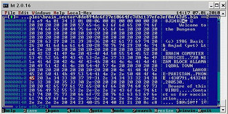 Os primeiros vÃ­rus de computador da histÃ³ria