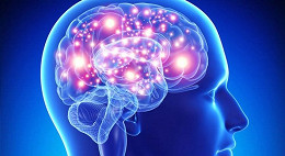 Para cientistas chips em cérebro humano poderá melhorar o rendimento intelectual Para cientistas chips em cérebro humano poderá melhorar o rendimento intelectual