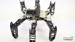 Cientistas desenvolvem software capaz de fazer robôs se adaptarem a danos Cientistas desenvolvem software capaz de fazer robôs se adaptarem a danos