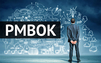 PMBOK: Guia de Gerenciamento de Projetos: Estrutura