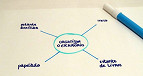 Mapa Mental: Por que começar a fazer um Mapa Mental: Por que começar a fazer um