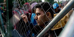 Google anuncia campanha para arrecadação de fundos para refugiados