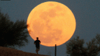 Eclipse total e Super Lua irão acontecer hoje, dia 27 Eclipse total e Super Lua irão acontecer hoje, dia 27