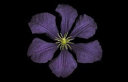 Do que os maiores gênios do mundo têm medo? Do que os maiores gênios do mundo têm medo?