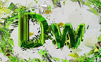 Curso de Dreamweaver CC Curso de Dreamweaver CC