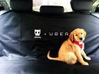 Uber fará transporte de animais em SP e RJ Uber fará transporte de animais em SP e RJ
