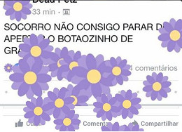 Novo botão de flor no Facebook faz sucesso Novo botão de flor no Facebook faz sucesso