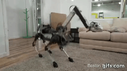 Empresa do Google apresenta girafa-robô capaz de pegar objeto com o pescoço Empresa do Google apresenta girafa-robô capaz de pegar objeto com o pescoço